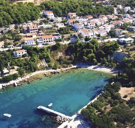 Dinka Milicic Daire *